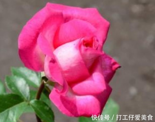 “命苦”不是天生的,有3点要注意,人生才能一帆风顺福运满满!