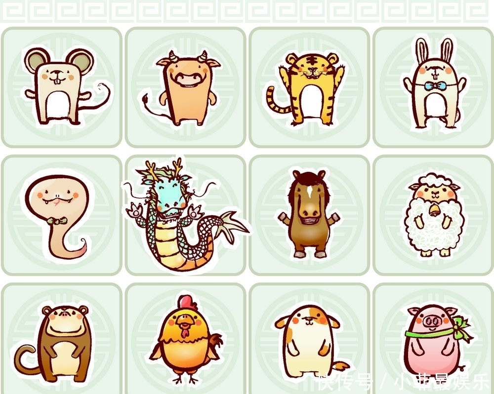 十二生肖你是属什么的,看看自己的命运吧,