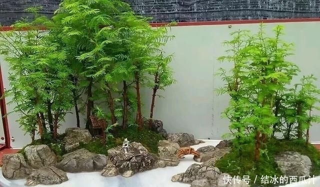 盘子|用石头盘子来养花,变成小盆景,价值能翻好几倍