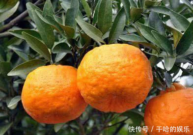 冬天了,女性常吃3种食物,美容养颜,抗衰排毒,早吃早受益