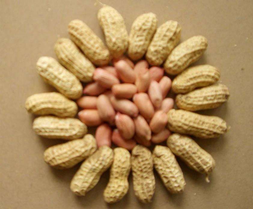 食物|记住这几种食物不会发胖,还能刮油清肠!