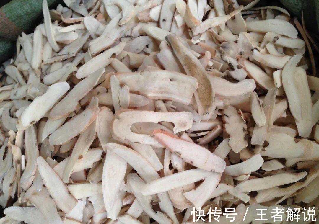 养血|想要补血气怎么办?中医告诉你:这些中药或可助你一臂之力