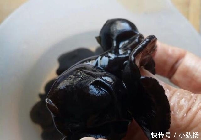 细菌|泡木耳,用冷水还是热水?酒店大厨:多加这1步,污垢细菌都没了