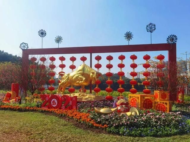 中年|2000平方米花展！流花湖公园11组主题景观华丽亮相