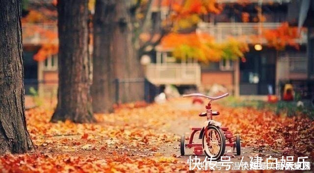 看透@一首宋词真正看透人生,开头12个字惊艳无比,道尽世间冷暖