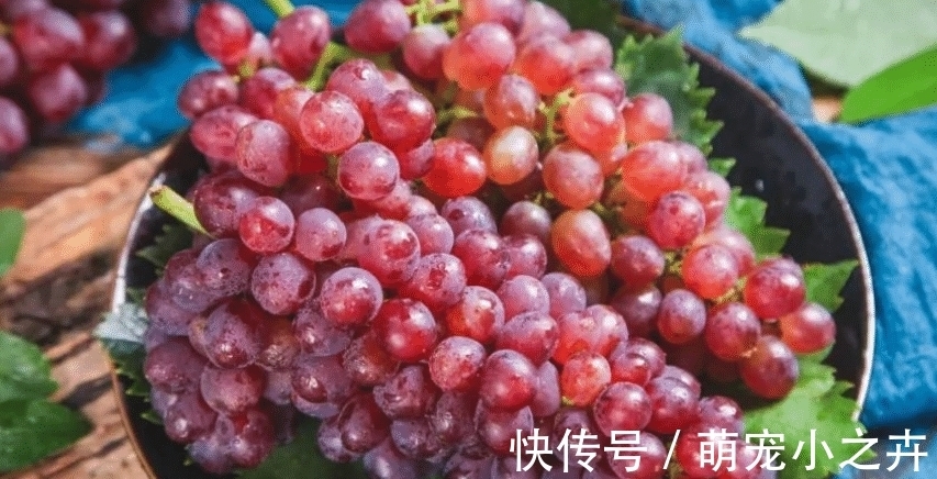 果农|吃葡萄时,用盐还是面粉洗好?果农:错,该这样洗,吃着才放心