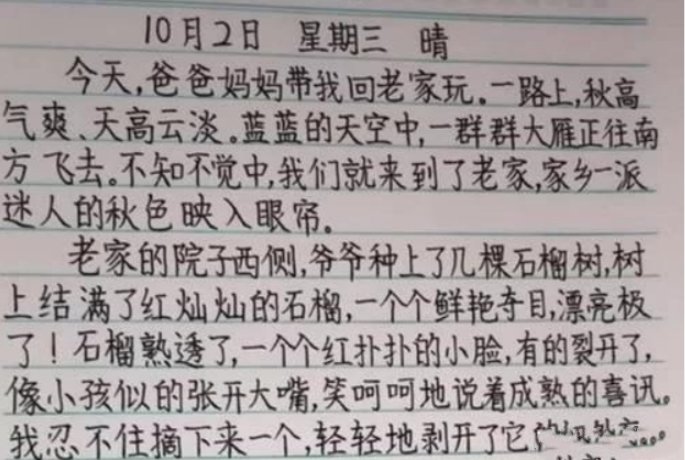 小学生A+作业走红，字体清新脱俗如印刷体，网友：别人家的孩子