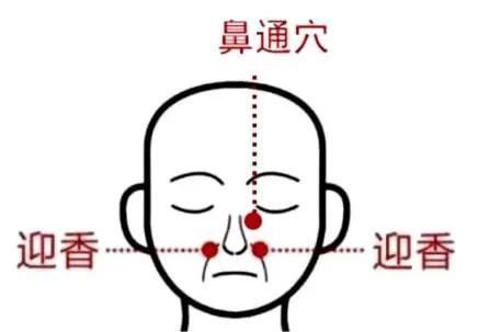 三里穴|秋冬季节犯鼻炎？中医有妙招！