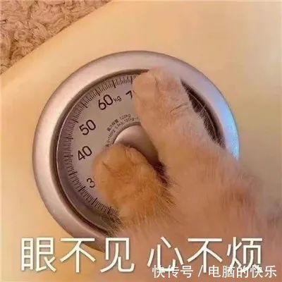 聊天|热门的沙雕聊天表情大全:小王八掉眼泪你鳖伤心