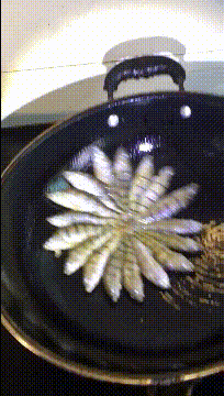 疙瘩|“过几天就要拍婚纱照，一胳膊的疙瘩好烦人”哈哈哈哈救命