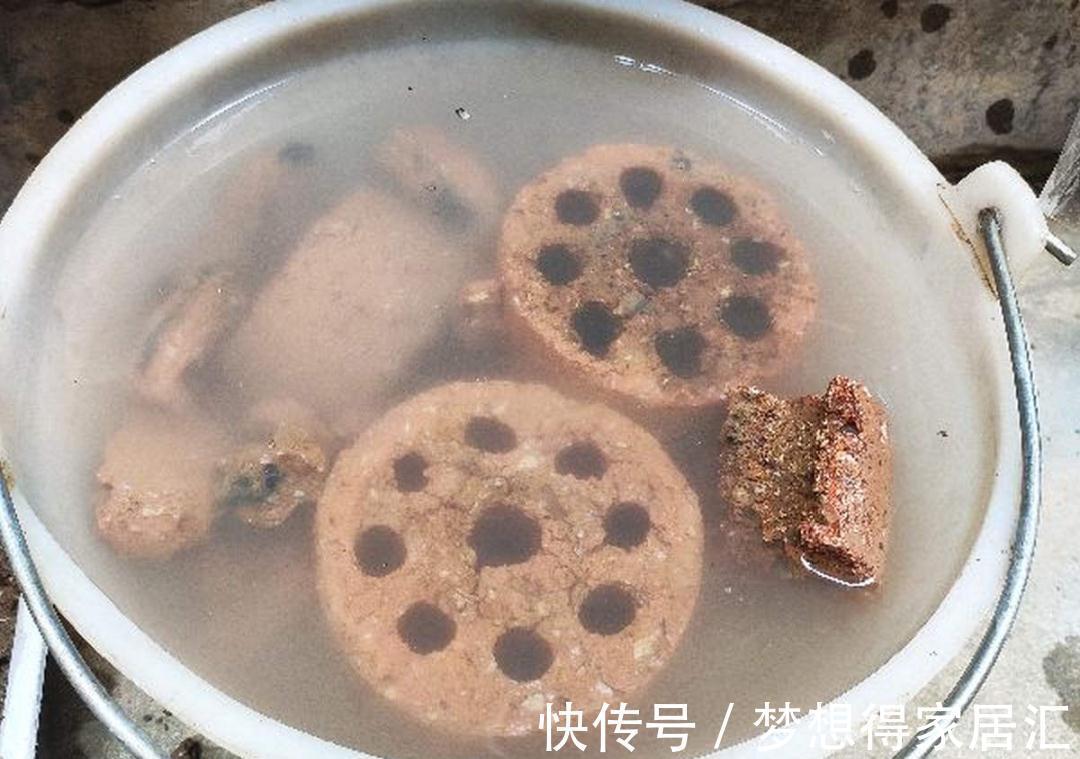 松针土|9种土别拿来养花,对花不好,容易黄叶烂根