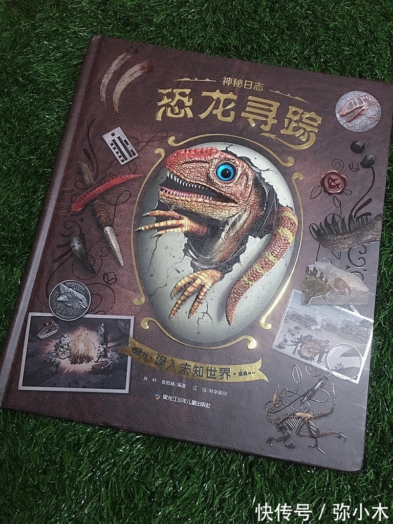 卡琳·西蒙妮|发现孩子的天赋重要,付出努力更重要,藏在童书里的大智慧