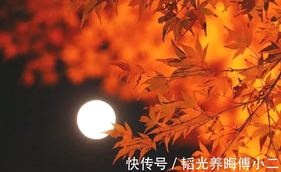 鲈鱼@七言绝句◆日暮独倚栏