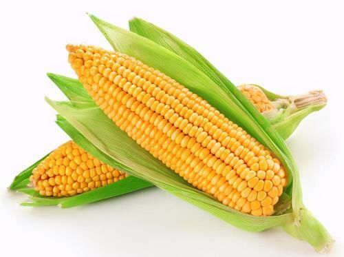 李医师|年轻人想气色好，多吃的食物，祛皱美容，排毒消脂，更显年轻