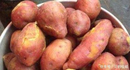 防癌抗癌|让人倒下的不是病,是无知吃红薯的3大禁忌,别再明知故犯了