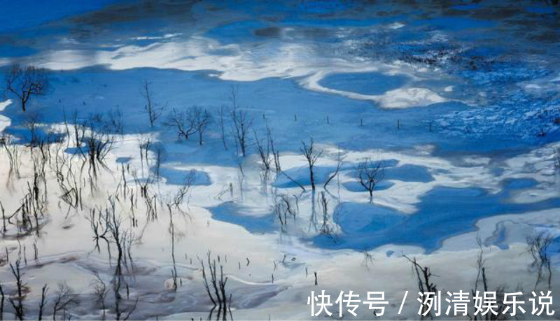 天寒白屋贫|刘长卿最经典的一首诗,即使是再过一千年,那也是无人能够超越!