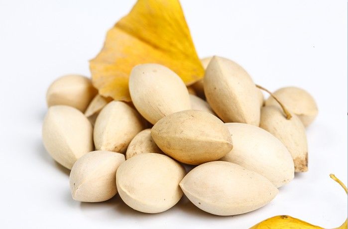 白果|不要捡！小心有毒！近期将大量出现！