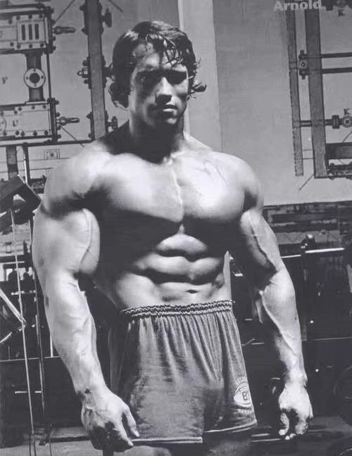 肌肉|看看中国的肌肉男，再看看外国的肌肉男，差距不是一般的大