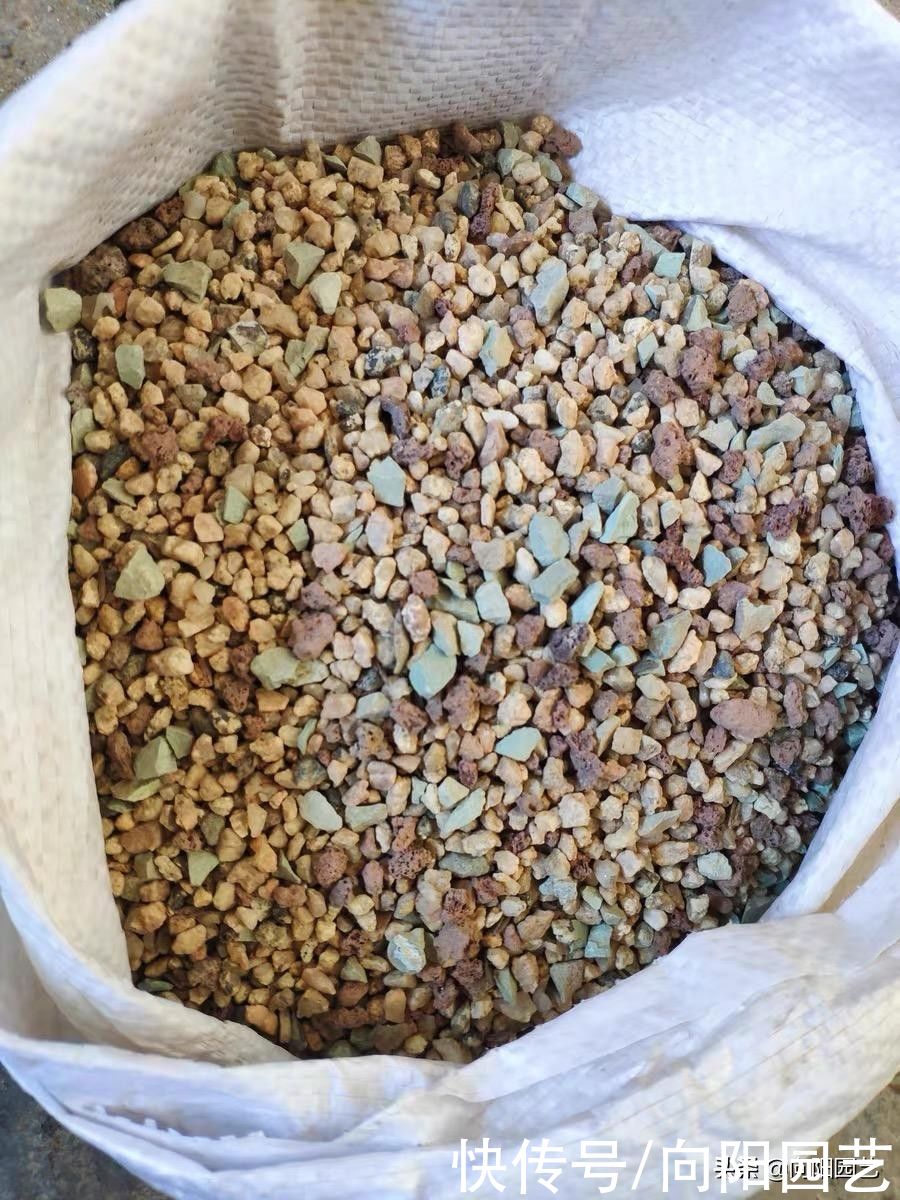 水性|全颗粒养多肉！可行吗？当然可行，透水性好，多肉不烂根