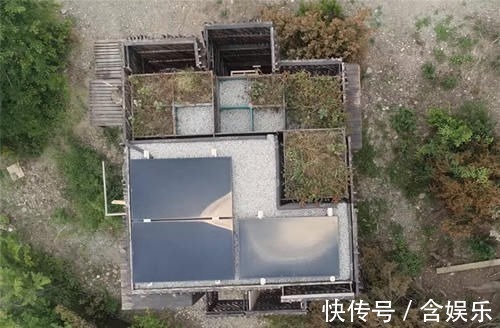 小菜园|他用40棵松树,在荒山野林建起小屋,屋顶种菜生活自给自足