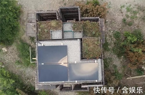 小菜园|他用40棵松树，在荒山野林建起小屋，屋顶种菜生活自给自足