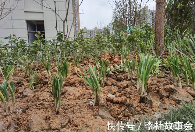 购房者|还未交付就这质量这个开发商的宁波首秀,砸了自己的招牌!