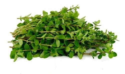 氨基酸|農(nóng)村不起眼的野菜,食療功效強(qiáng)大,養(yǎng)肝明目,降血壓,好處多多