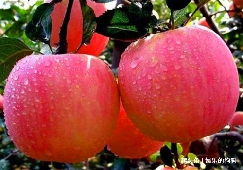 维生素b|30岁女性,常吃4种食物,祛除黑斑,保持子宫干净,预防妇科病