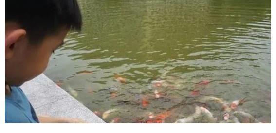 视锥细胞|4个你深信不疑的“常识”,其实都是错的?尤其第3个骗了不少人