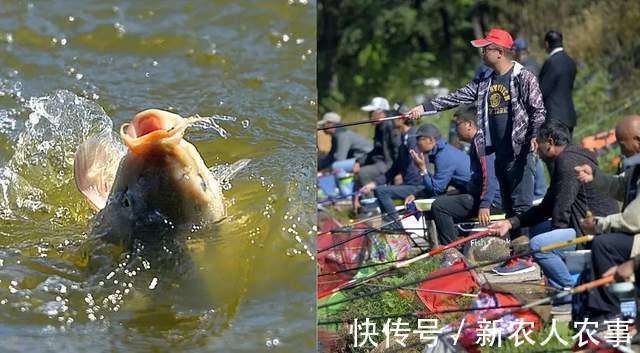 钓鱼届的扛把子,江苏男子带父亲硬核垂钓,网友:邓刚也要让三分