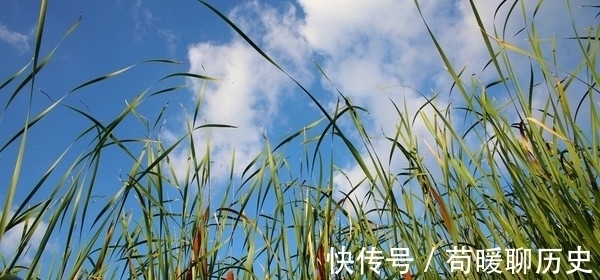 蒲草&他因一首诗打动苏轼,与苏轼结下一段旷世友谊,知音可遇不可求!