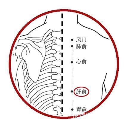 大敦穴|养肝不花钱！常按4穴，肝气顺了、睡眠香了，湿气也悄悄溜走