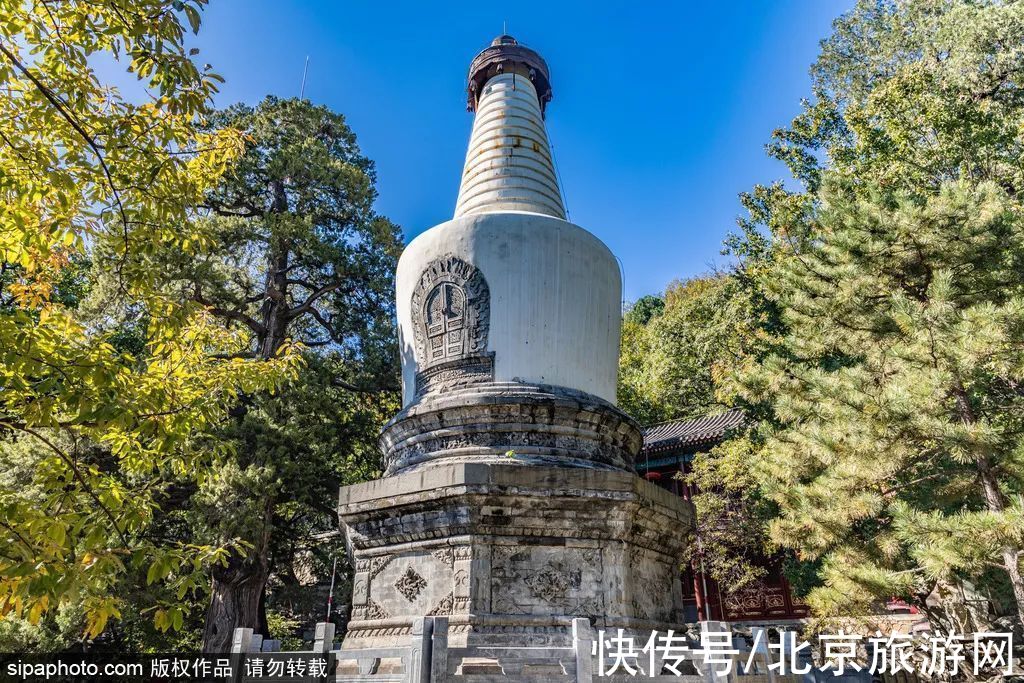 朱瞻墉|春风里听鸽哨，晴空下望白塔，京城专属“浪漫”！