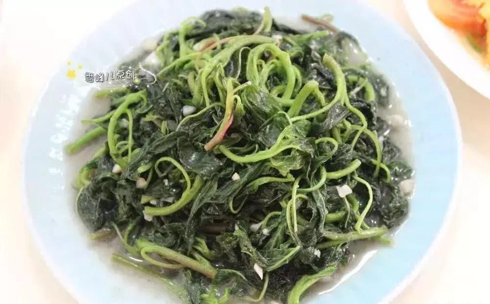 肉末|10分钟做3道家常菜,搞定2个人的午餐,老公连盘子都舔干净了!