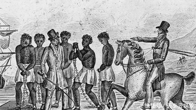 塔斯!丈夫被展览,她留下遗愿,求别解剖展览她,死后还是被观赏72年