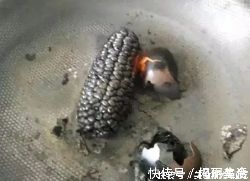 麻麻|熊孩子:麻麻竟给我吃这些东西,她是想要谋杀我,我该怎么办呢?