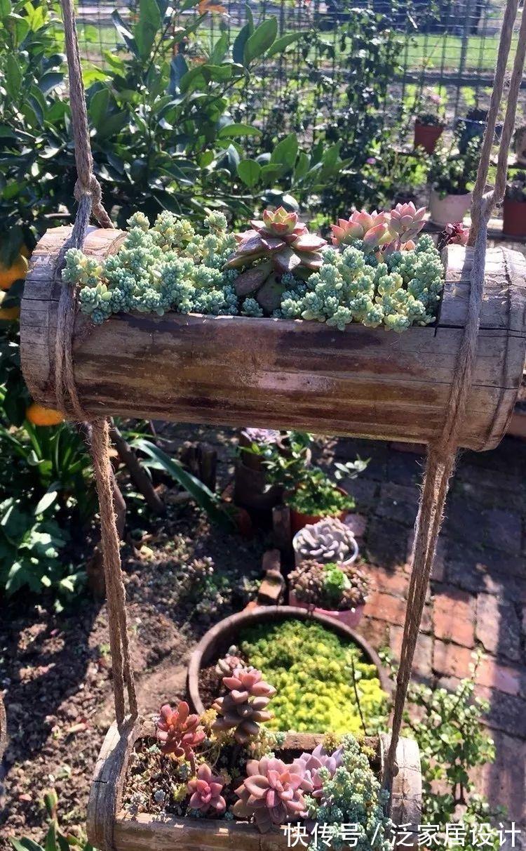 叶插|用葫芦种多肉，一养就是三年，邻居给钱都不卖