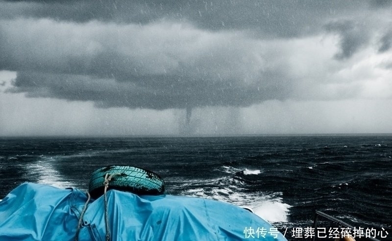 19张你能盯着看超过1分钟的惊奇照片,让你发现世界的奇妙!