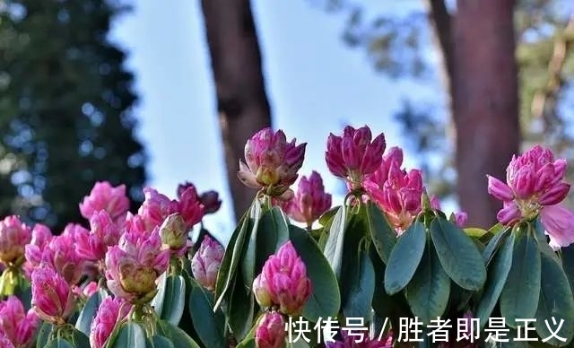 双子座|双子座和巨蟹座（11月29日-12月5日）一周运势详解