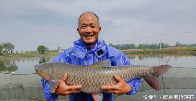  绍兴名菜醉鱼干，简单三步就学会