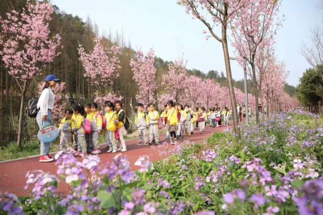 老年|春风拂面百花开 浦江“私藏”了整个春天