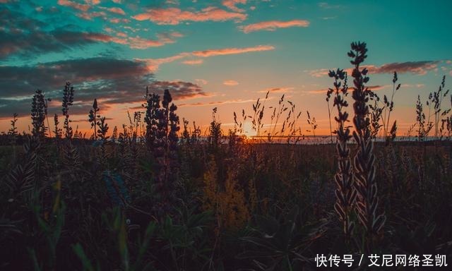  嘲笑|晚唐诗人的一首怀古诗，嘲笑秦始皇焚书，更深的绝望却在等着他