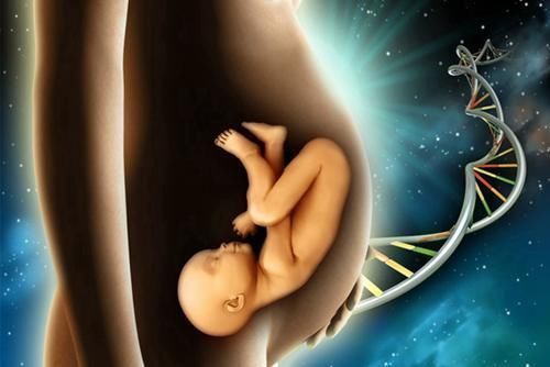 胎宝宝|怀孕期间,胎宝宝“最怕”这五种行为,孕妈记得绕开