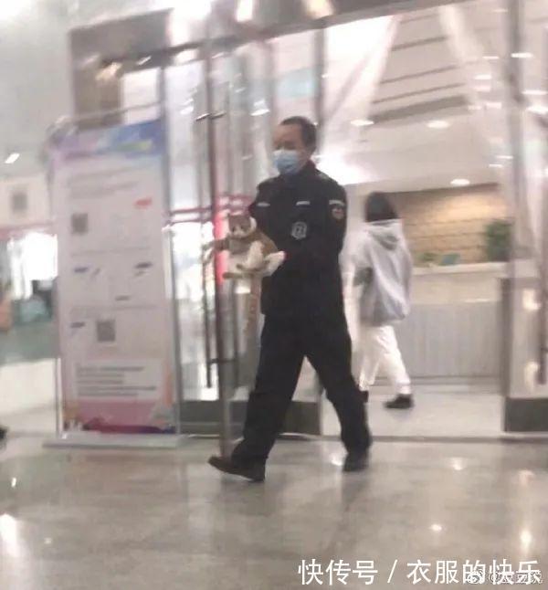 |甜粽和咸肉粽要打起来了 冷段子1830