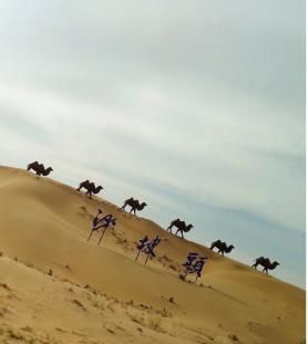 跑男|薇娅参与跑男录制,称看到了沙漠却没有看到星星