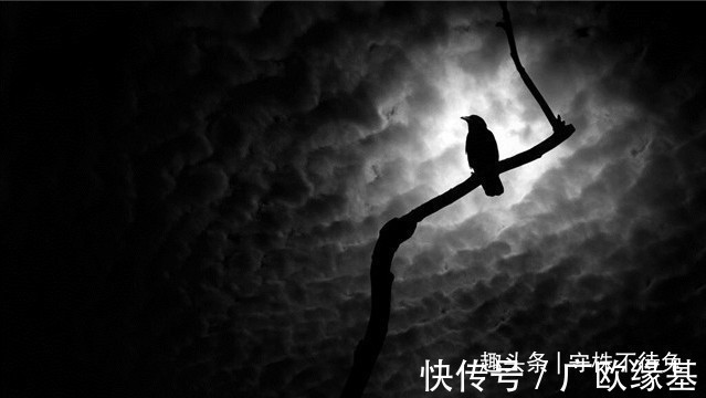 药片|23个冷知识学校里不会教,或许只有少数人知晓