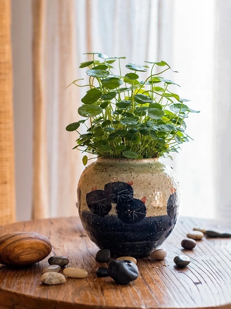 五脏|为什么有些人貌似健康，反而不长寿？