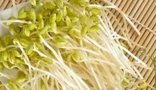 减肥瘦身|聪明人最爱吃的3种食物,美容养颜、减肥瘦身,营养又健康!