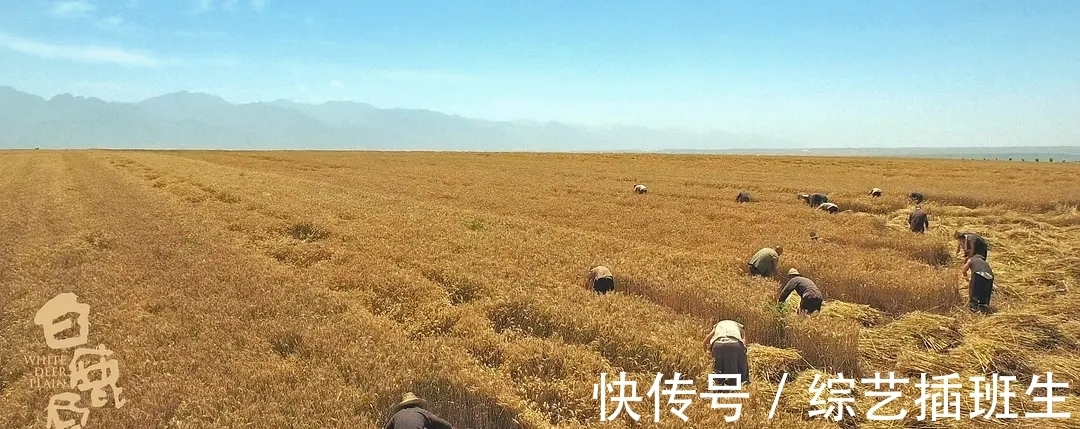 平凡的世界$它是中国的《百年孤独》,曾被列为禁书,之后获得“茅奖文学奖”