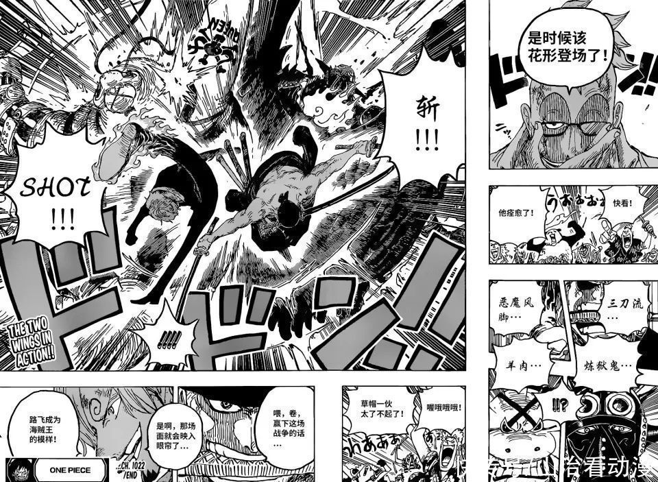 种族|海贼王1023话:尾田再次挖坑,神之国出现,与炎灾烬的种族有关